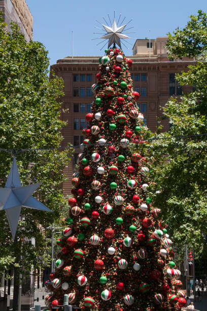 istock View along Martin Place with a Christmas tree and decorations 1335868136