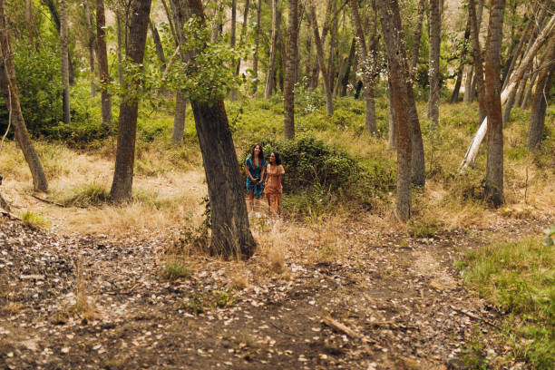 istock Two young lesbians walking in the woods wearing long dresses 1335868185