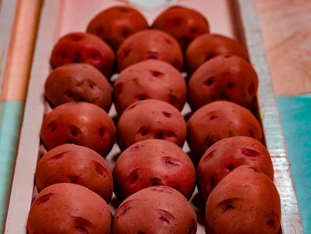 все глаза на картофель - red potato raw potato market red стоковые фото и изображения