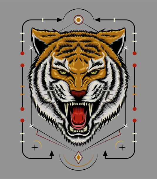 ilustrações, clipart, desenhos animados e ícones de mascote do logotipo do vetor da cabeça de tigre - tiger roaring danger power
