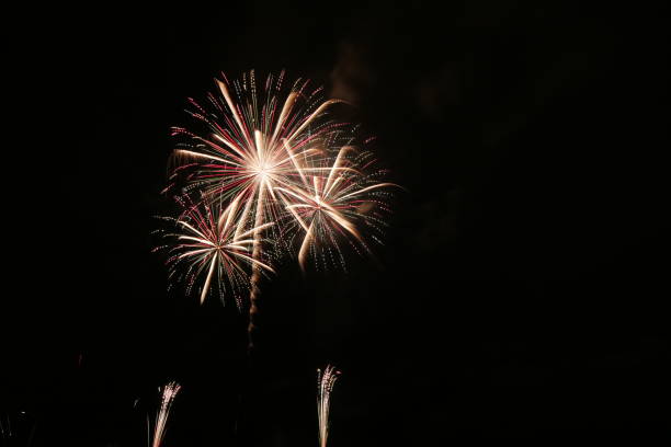 istock Local fireworks display in Gamagori 1335879395