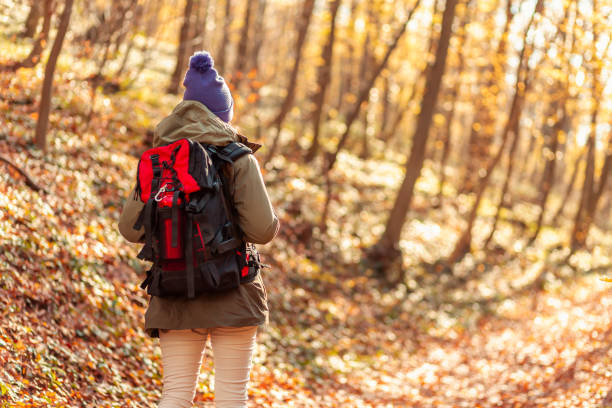 istock Active woman hiking on a sunny autumn day 1335881306
