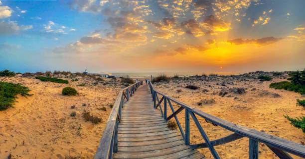 istock La Barrosa beach in Sancti Petri 1335882489