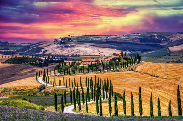 istock Cypress trees and meadow with typical tuscan 1335882533