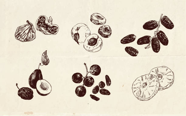 рисунки сухофруктов - raisin stock illustrations