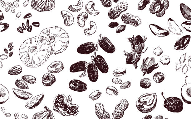 illustrazioni stock, clip art, cartoni animati e icone di tendenza di modello senza cuciture con noci e frutta secca - dried food food backgrounds food and drink food