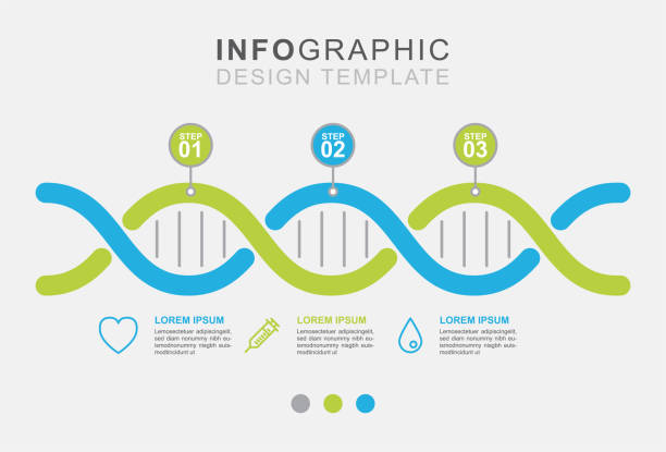 Human Genetics Inforgraphic 5,600+ Genetics Infographic Stock Illustrations, Royalty-Free Vector ...
