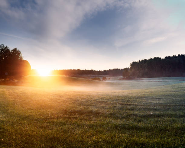 istock Morning field with sun rise 1335890440