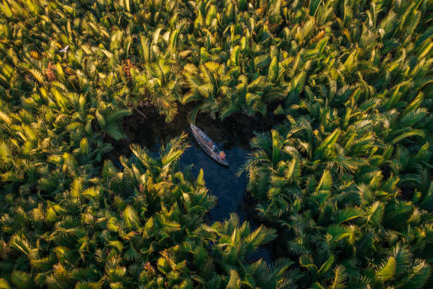 istock Catching fish in nipa palm jungle 1335891546