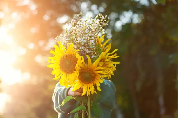 Photo of Cute kid boy hiding by bouquet of fields sunflowers in autumn sunset day. Autumn concept. Mother`s day and thanksgiving concept.