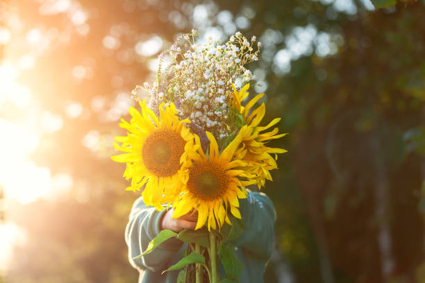 cute kid boy hiding by bouquet of fields sunflowers in autumn sunset day. autumn concept. mother`s day and thanksgiving concept. - mothers day flower gift bouquet imagens e fotografias de stock