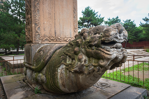 Buddha statue standing on dragon in shade of the trees