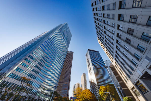 istock Skyscrapers in Tokyo illuminated by the morning sun 1335894596