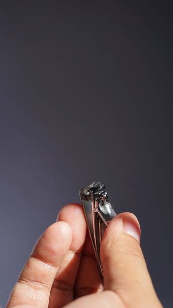 istock hand holding nails clipper. men hand holding metal nails cutter 1335896426
