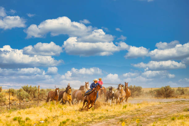istock Running of the horses 1335897960