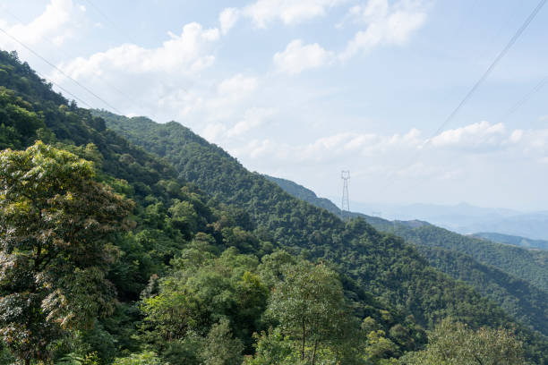 istock Mountain with many trees under the blue sky and white clouds 1335900137