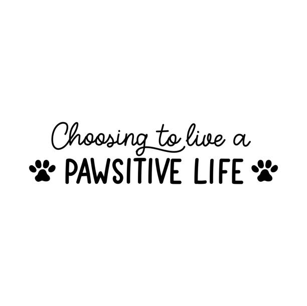 istock Choosing to live a positive life lettering with a paw silhouette. 1335900935