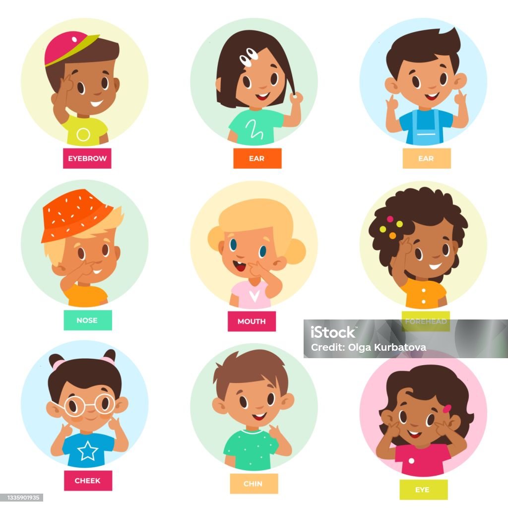 Kid Pointing Face Part Cute Children Denote Facial Features Show Forehead  Cheek Eyes And Nose Educational Games For Babies Sense Organs Vector Cartoon  Isolated Set Stock Illustration - Download Image Now - iStock