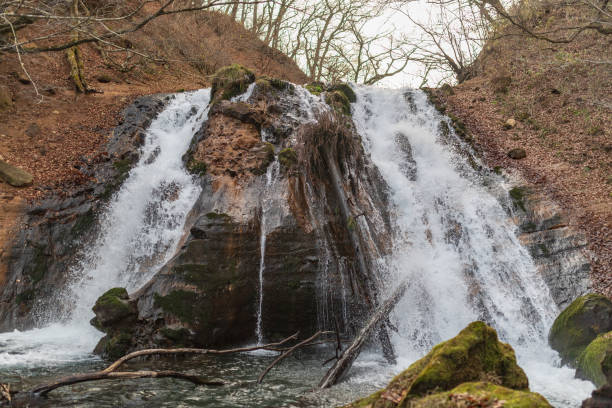 istock Japanese famous water Oike springs 1335903068
