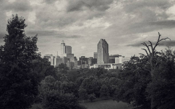 istock Vantage of Downtown Raleigh Skyline 1335903110