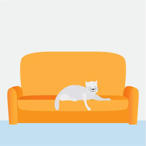 Vector illustration of A cute cat lying on a sofa at home