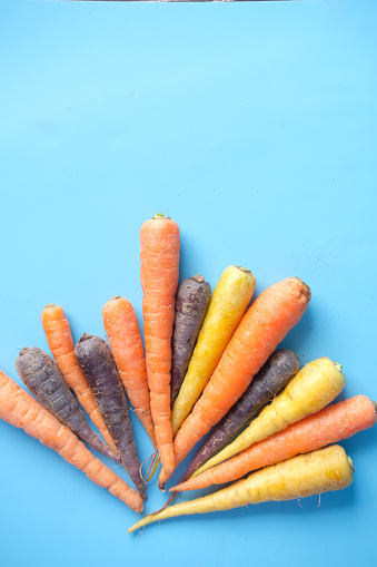 colorful fresh carrot on blue background ,