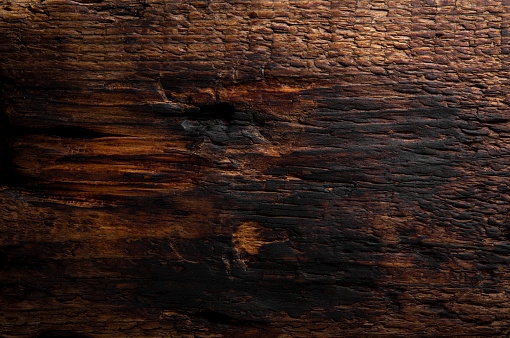 Texture of old burnt wood close up. High quality photo