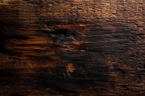 Photo of Texture of old burnt wood close up