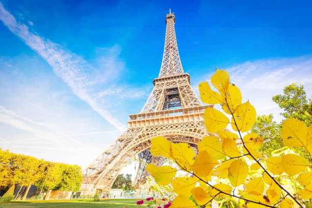 istock eiffel tour and Paris cityscape 1335915191