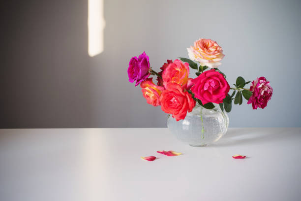 istock roses in glass vase on gray background 1335916487