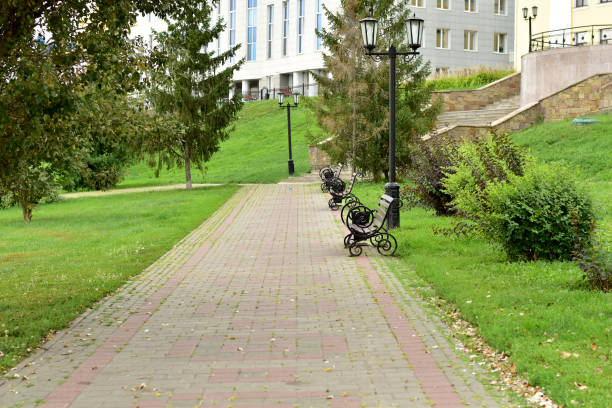 istock A path lined with paving slabs in a city park. 1335918390