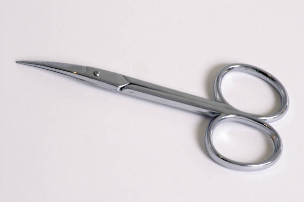 istock stainless steel scissors on white background 1335920165