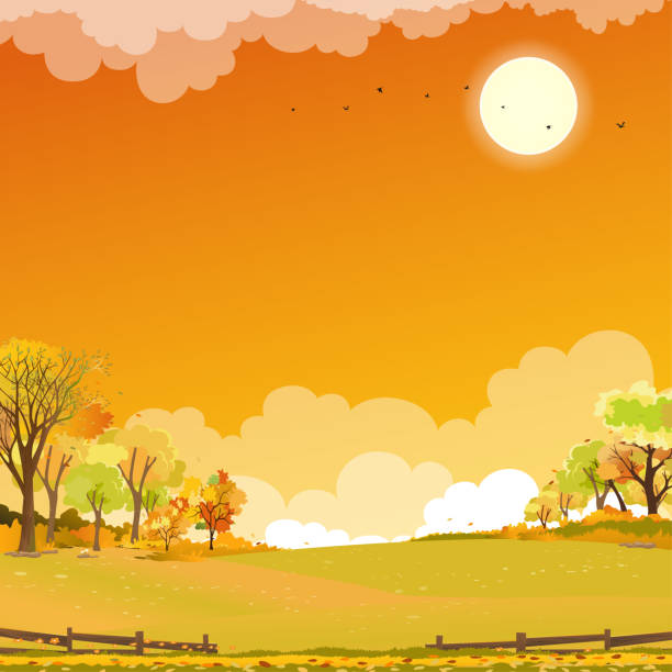 illustrazioni stock, clip art, cartoni animati e icone di tendenza di paesaggio autunnale foresta di meraviglie con terra erbosa, autunno naturale di metà autunno in fogliame arancione, stagione autunnale con splendida vista panoramica con tramonto e cielo rosa, foglie di montagna e acero che cadono dall'albero - hill grass park sky