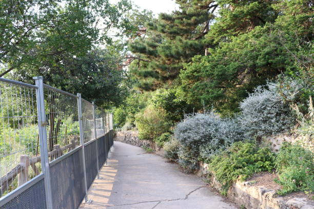 istock The Parc des Buttes Chaumont - Paris 1335927237