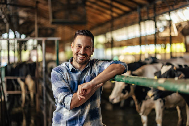 istock Adult man, getting ready for a busy day. 1335929973