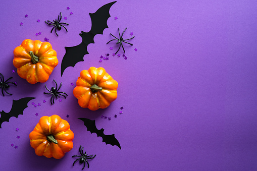 Happy Halloween holiday concept. Halloween decorations, pumpkins, bats, spiders on purple background. Halloween party greeting card mockup with copy space. Flat lay, top view, overhead.