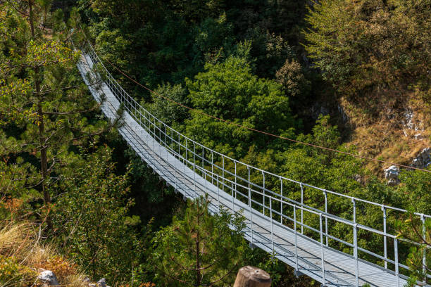 istock Roccamandolfi, Molise. The Tibetan bridge 1335950877