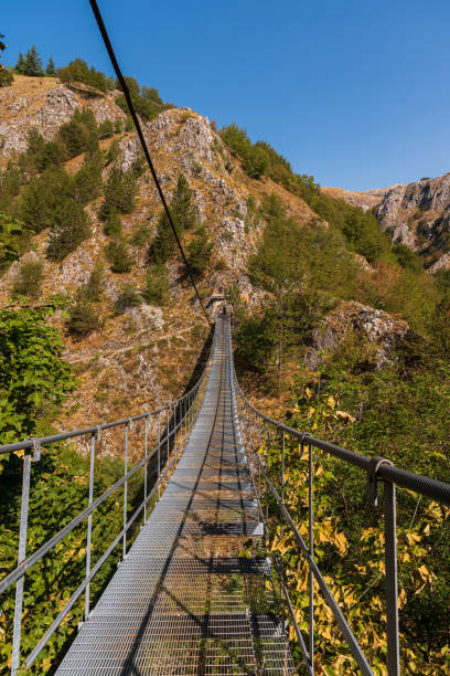 istock Roccamandolfi, Molise. The Tibetan bridge 1335950908