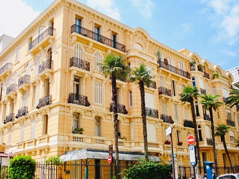 Buildings with beautiful palm trees in Monaco