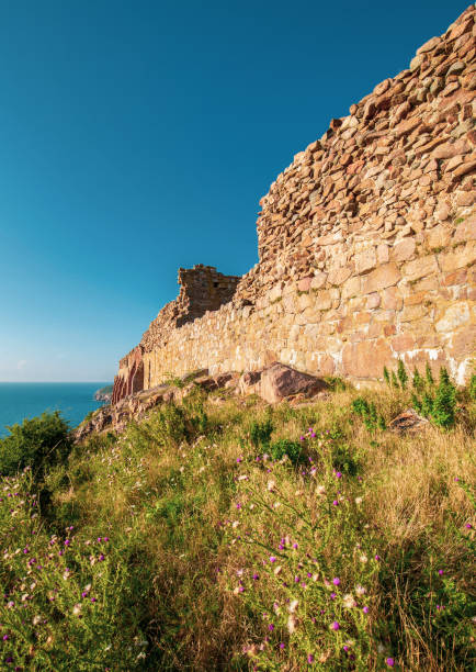 zamek ruin hammershus na bornholmie - hammershus bornholm island denmark island zdjęcia i obrazy z banku zdjęć