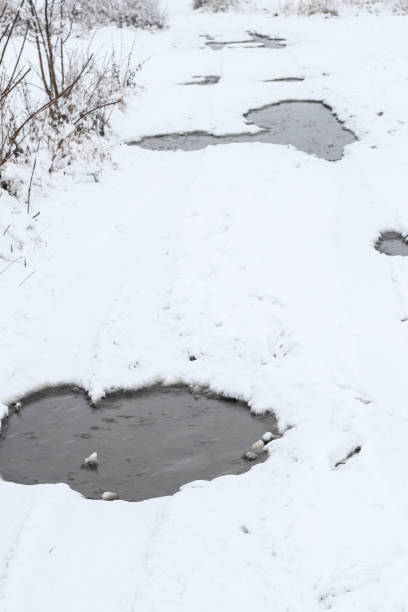 istock Rural road in winter 1335960243