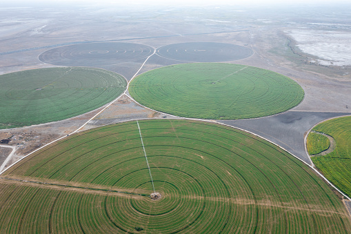 Aerial view of circular agriculture fields. Taken via drone. Konya, Turkey.