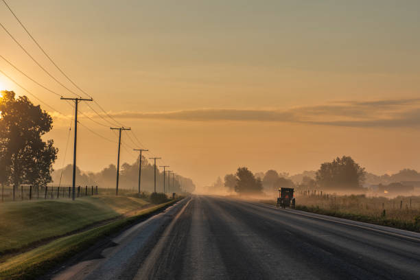 istock Country Road at Dawn with Amish Buggy 1335964378