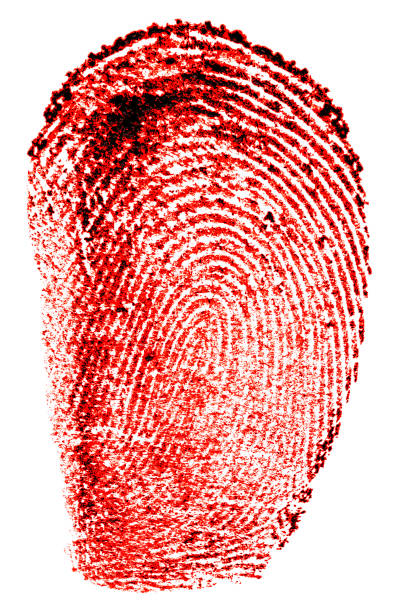 impressão digital ensanguentada isolada em um fundo branco. impressão digital vermelha. conceito de tecnologia. - fingerprint thumbprint identity red - fotografias e filmes do acervo