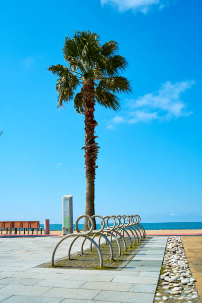 istock Bicycle parking on the waterfront near the city beach 1335965421