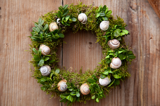 Spring door wreath with moss snail shells and boxwood leaves