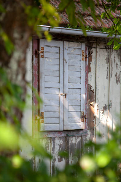 istock Old weathered closed shutters in a ruin 1335965905