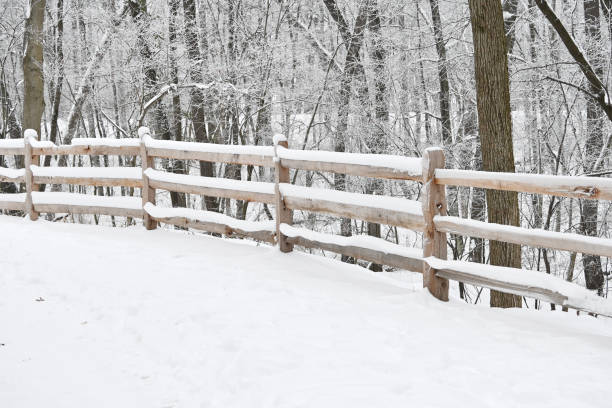 Split Rail Fence in the Snow