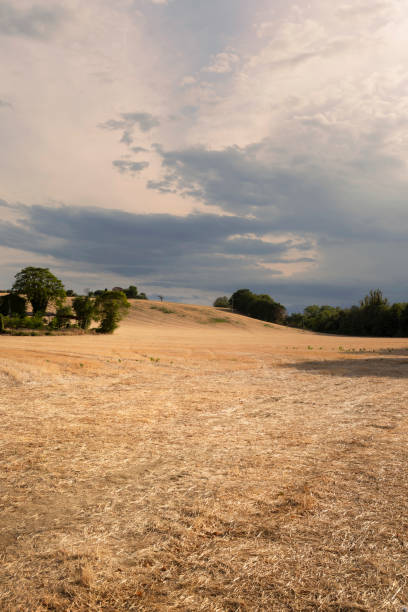 istock Beautiful countryside landscape at dusk with cloudy sky 1335969988