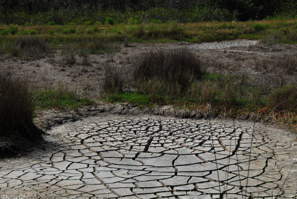 Florida- Image of Climate Change Drought in the Everglades National Park Climate change drought image of dried up wetlands and the cracked mud of dried water holes in habitat that no longer supports birds, alligators and mammals in the Florida Everglades National Park. climate crisis photos stock pictures, royalty-free photos & images